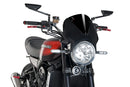 KAWASAKI Z 900 RS SE [2025] – Vision Windshield Visor – Transparent-17