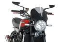 KAWASAKI Z 900 RS SE [2025] – Vision Windshield Visor – Tinted-2