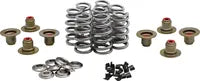 Harley-Davidson FLRT 1868 Freewheeler 114 [2021-2024] - Titanium Ventilfederhalter-Kit – Bild 11