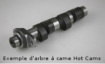 Polaris Sportsman 500 EFI [1998-2013] - Nockenwelle - Stage 2 Polaris