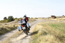 Honda Forza 750 [SHAD] - Valise latérale droite TR47 Terra-10
