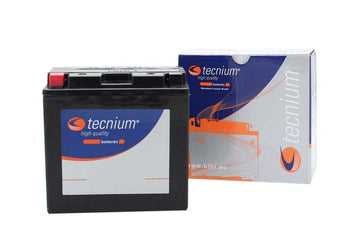 Yamaha XJR 1300 [Tecnium] - motorcycle battery