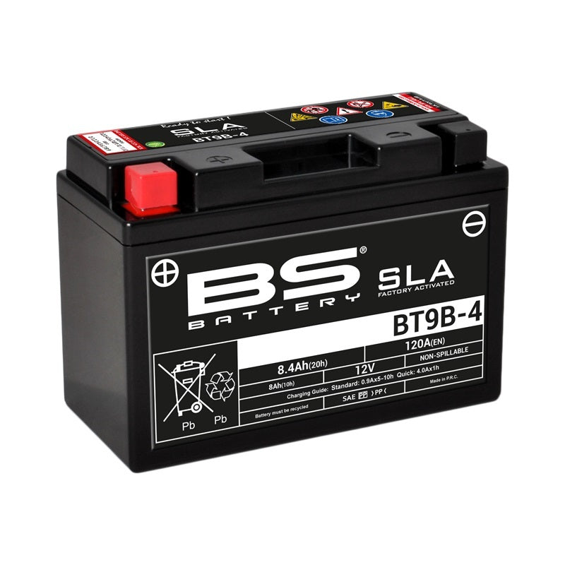 Yamaha TT 600 RE [batterie BS] - Batterie de moto