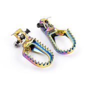 Beta RR 200 2 T X-PRO [2025-2027] - titanium footrests in rainbow look