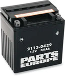 California 1000 [PARTS EUROPE] – Parts Europe Battery