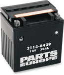 California 1000 [PARTS EUROPE] – Parts Europe Battery