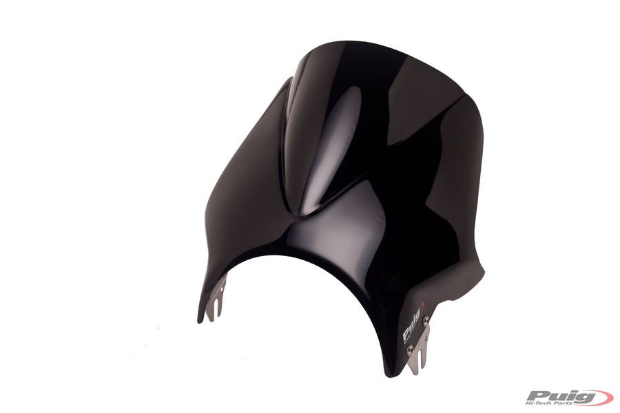 KAWASAKI W 230 [2025] – Windy windshield fairing – tinted