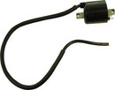 aprilia st 125 [PARTS EUROPE] – Ignition coil