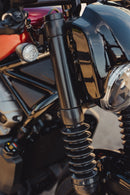 harley davidson nightster [CULT WERK] – couvre-fourches-2