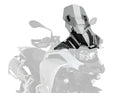 APRILIA RS4 125 REPLICA [2016] – Bulle Z-Racing – fortement teintée