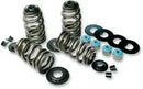 Buell Blast 500 [2000-2002] - Endurance Beehive® valve springs with titanium spring plates - picture 5