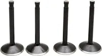 Harley Davidson Flfb [KIBBLEWHITE] – Black Diamond™ Engine Valve Kit