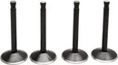 Harley Davidson Flfb [KIBBLEWHITE] – Black Diamond™ Engine Valve Kit