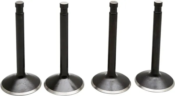Harley Davidson Flfb [KIBBLEWHITE] – Black Diamond™ Engine Valve Kit