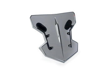 VESPA GTS 125 [2021] - Flanker fairing screen | Tinted | PUIG 20336H