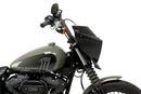 HARLEY DAVIDSON SOFTAIL STREET BOB FXBB [2019] – Mirage – Teinté-39