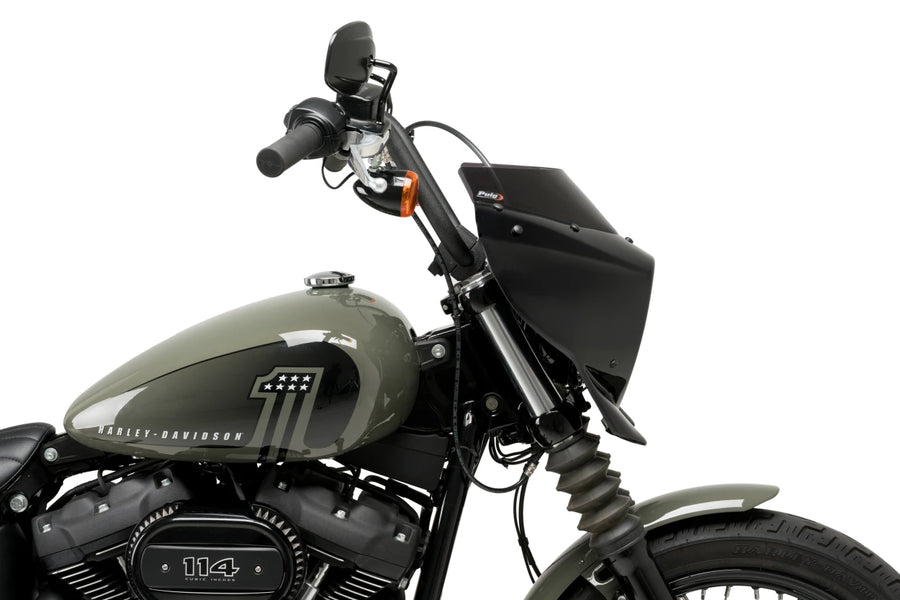 HARLEY DAVIDSON SOFTAIL STREET BOB FXBB [2019] – Mirage – Teinté