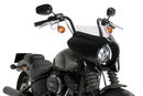HARLEY DAVIDSON SOFTAIL STREET BOB FXBB [2019] – Mirage – Teinté-39