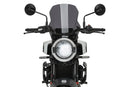 HUSQVARNA VITPILEN 401 [2025] – New Generation Sport – Heavily tinted