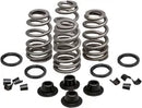 Buell S 2 T 1200 Thunderbolt [1995] - Endurance Beehive® valve springs with titanium spring plates - picture 7
