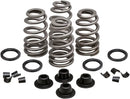 Daytona 660 [KIBBLEWHITE] – Beehive Valve™ Valve Spring Kit