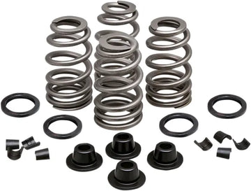 Daytona 660 [KIBBLEWHITE] – Kit de ressorts de valve Beehive Valve™