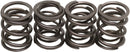 harley davidson flfb [KIBBLEWHITE] – kit de ressorts de soupape-1