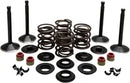 Harley Davidson FL Shovel [KIBBLEWHITE] - Kit de valve moteur