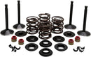 Harley Davidson FL Shovel [KIBBLEWHITE] - Kit de valve moteur