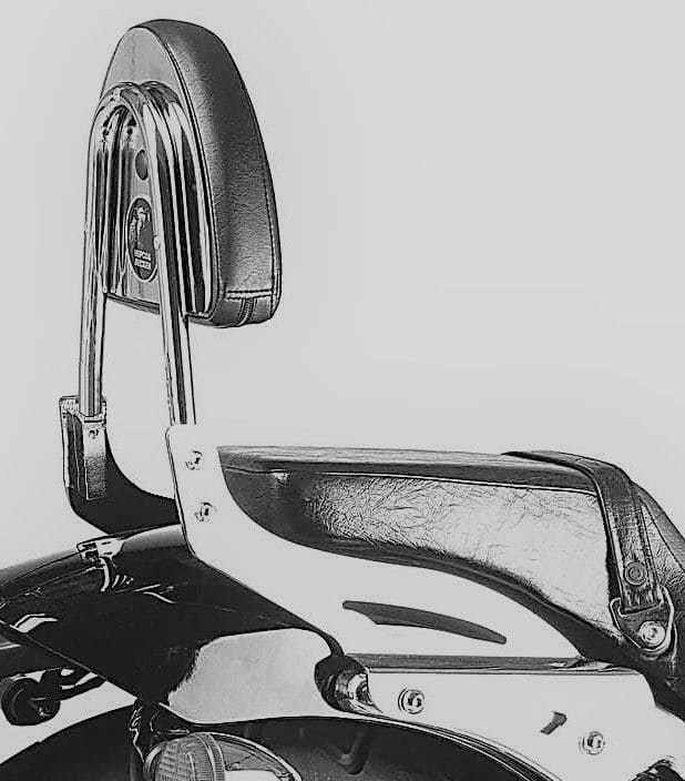 Honda VT 750 D2 Black Wido [2001-2003] - Sissybar sans pont à bagages