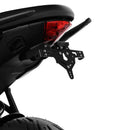 harley davidson flstf [ZIEGER] – Support de plaque d'immatriculation PRO type D-1