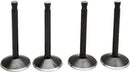 Pelle Harley Davidson FX [KIBBLEWHITE] - Kit de soupapes de moteur Black Diamond™