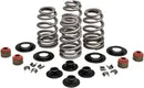 Harley-Davidson FXSTSSE3 1800 Softail Springer CVO [2009] - Endurance Beehive valve spring set for Screamin' Eagle heads - picture 12
