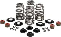 Buell S 2 T 1200 Thunderbolt [1995] - Endurance Beehive® valve springs with titanium spring plates - picture 10