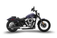 Harley Davidson Softail [ZARD] - 4.5 inch slip-on silencer for HD-SOFTAIL