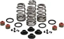 Harley-Davidson FXST 1690 Softail Standard [2013-2014] - Endurance Beehive® valve springs with titanium spring seats - picture 7