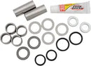 Yamaha WR 125 [PIVOT WORKS] – Schwingenlager-Kit