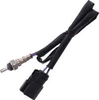 Harley-Davidson Vrscf 1250 V Rod Muscle [2013, 2015-2017] - Sonde lambda 12 mm – réf. 9904 – Figure 11