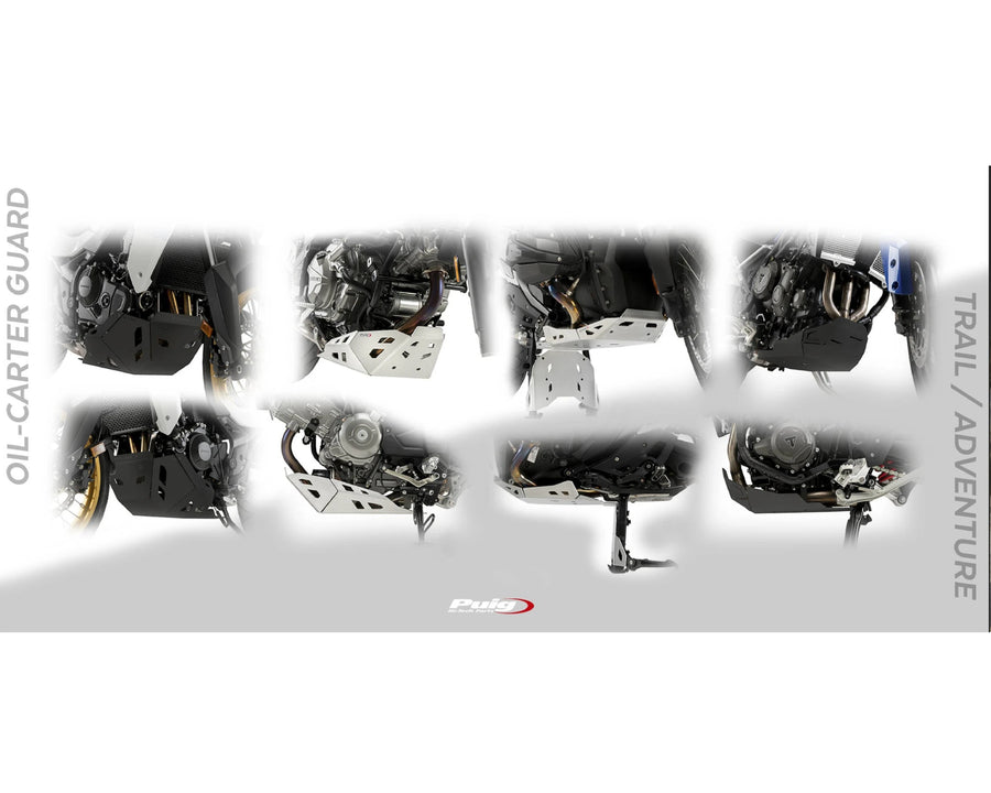 BMW F 900 GS [2025] – Engine Guard – Silver