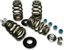 Harley-Davidson FXSBSE2 1800 Breakout CVO [2014] - Endurance Beehive valve spring set for Screamin' Eagle heads - picture 6