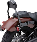 Harley Davidson Flstf [COBRA] – Kit de dossier amovible