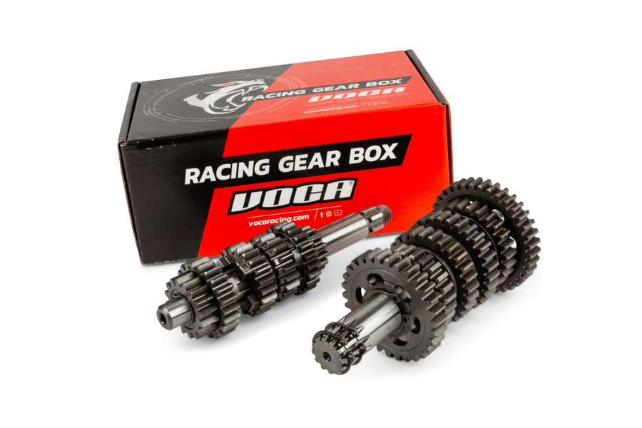 Fantic XM 50 2T - Getriebe Racing