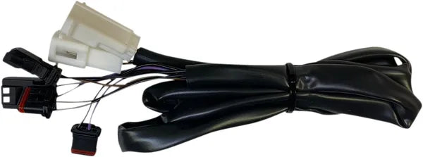 Harley-davidson Road Glide [CUSTOM DYNAMICS] – Feux arrière à LED plats intégrés ProBEAM® avec indicateurs supplémentaires