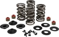 Harley-Davidson FXSE 1800 Pro Street Breakout CVO [2016-2017] - Endurance Beehive valve spring set for Screamin' Eagle heads - picture 10
