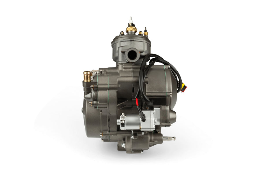 Rieju Spike 2 50 2T AM6 - Komplettmotor