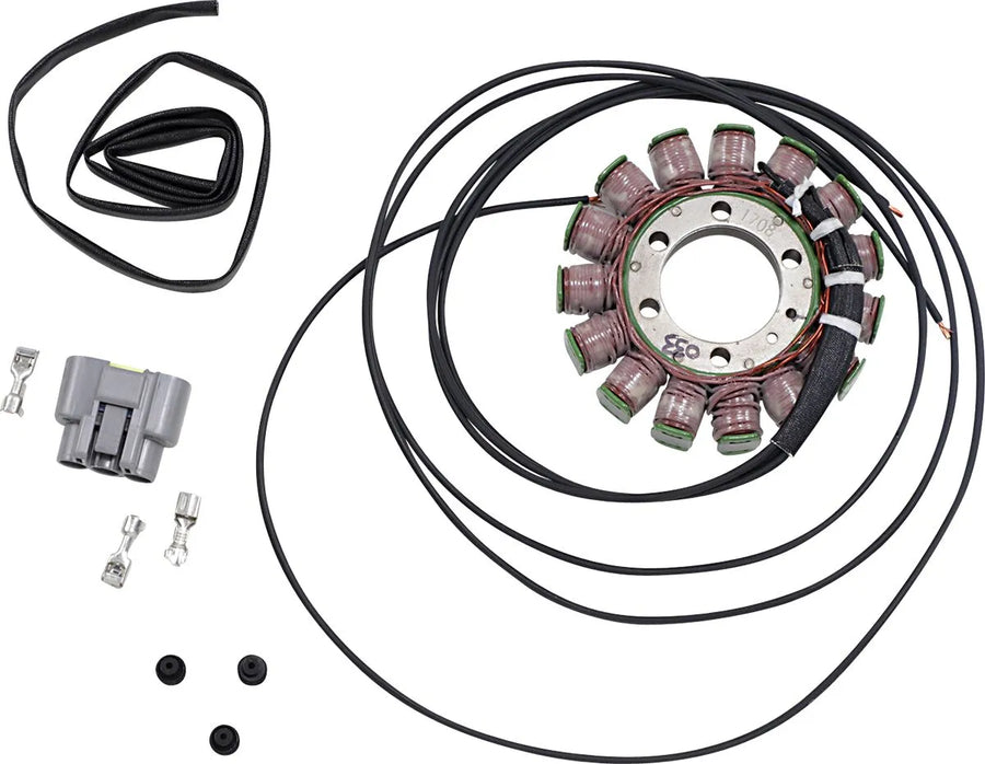 bmw s 1000 [RICK'S MOTORSPORT ELECTRIC] - stator de style OEM