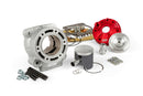 Beta RR-T SM 50 2T - cylinder kit FL100