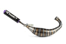 Derbi Senda DRD Racing SM 50 2T D50B0 [2012–] - Pot d'échappement R/T Noir Violet