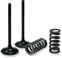 GAS GAS EC 450 [PROX] – valve and spring set
