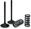 GAS GAS EC 450 [PROX] – valve and spring set